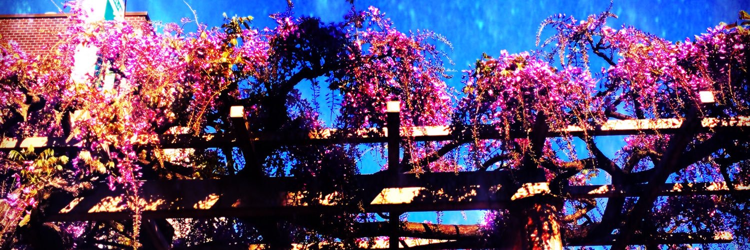 pinkrin10's profile banner image