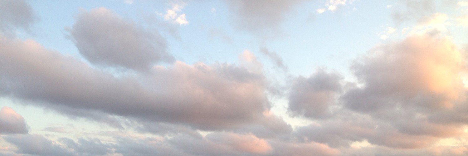 iidrr's profile banner image