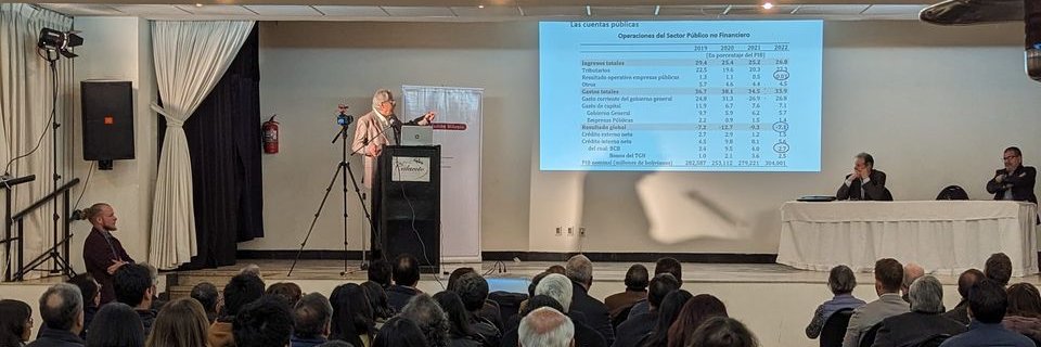 Fundación Milenio banner