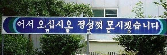 쭈돌 banner