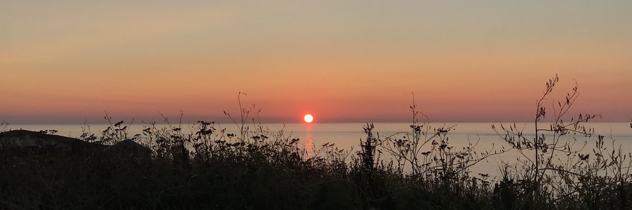erinleech28's profile banner image