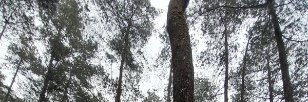ReXySambo Profile Banner