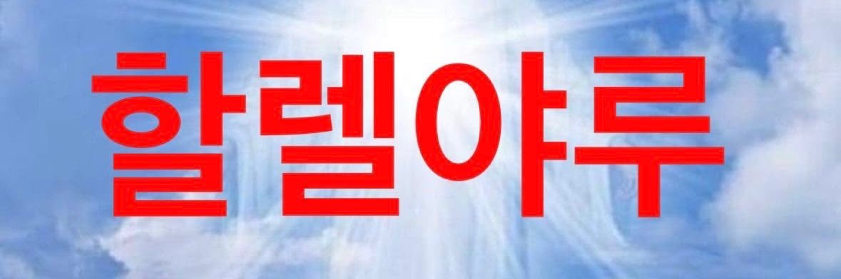 동글 banner