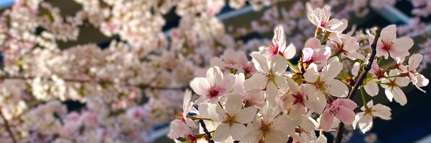 kanakit_'s profile banner image