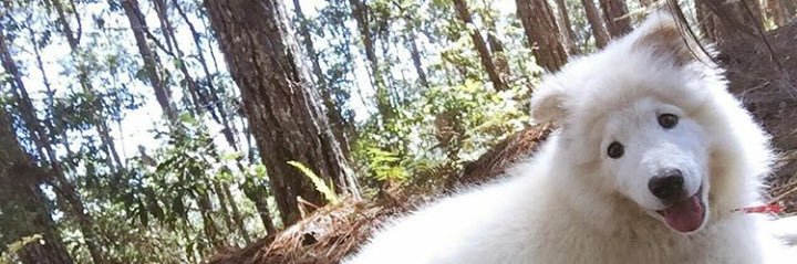 MelyBlanco's profile banner image