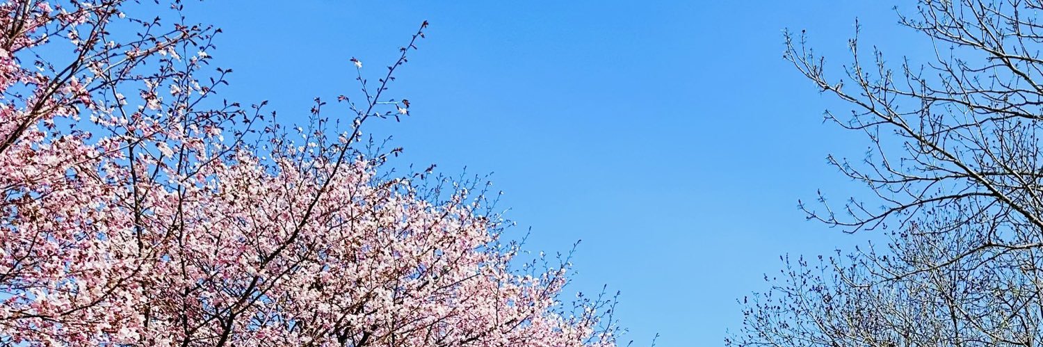 ねもと🦌 banner