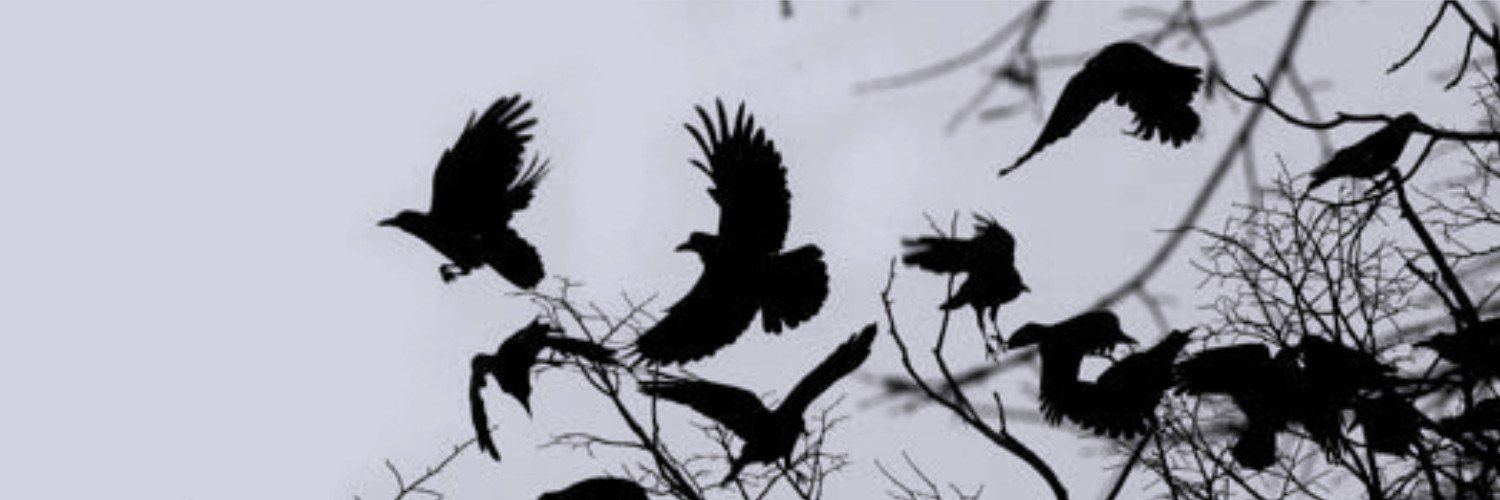 CapitanoRawen's profile banner image