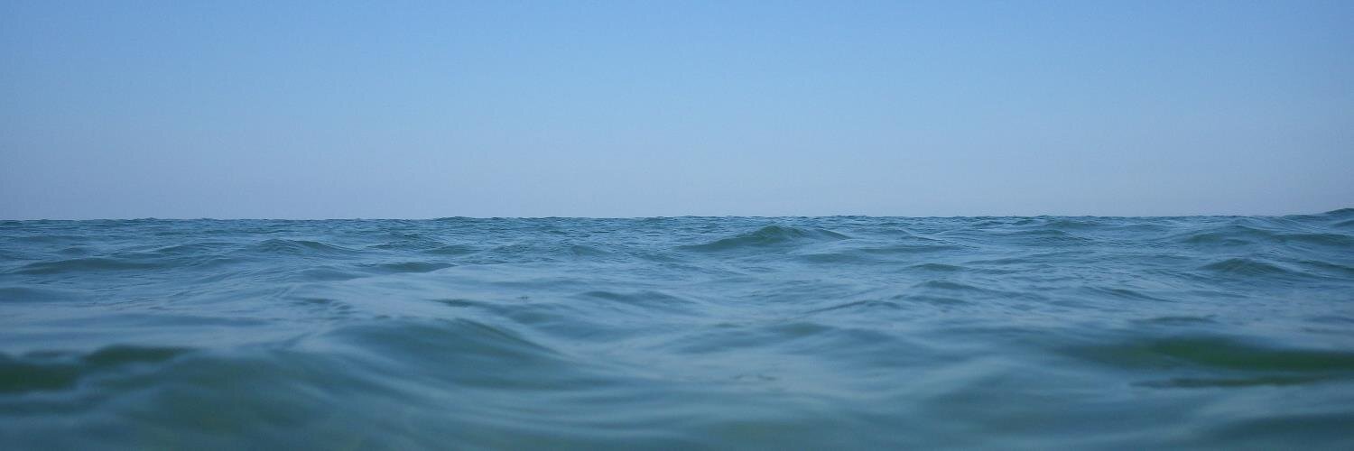 cowsinthefog's profile banner image