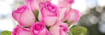 ROHITH_33's profile banner image