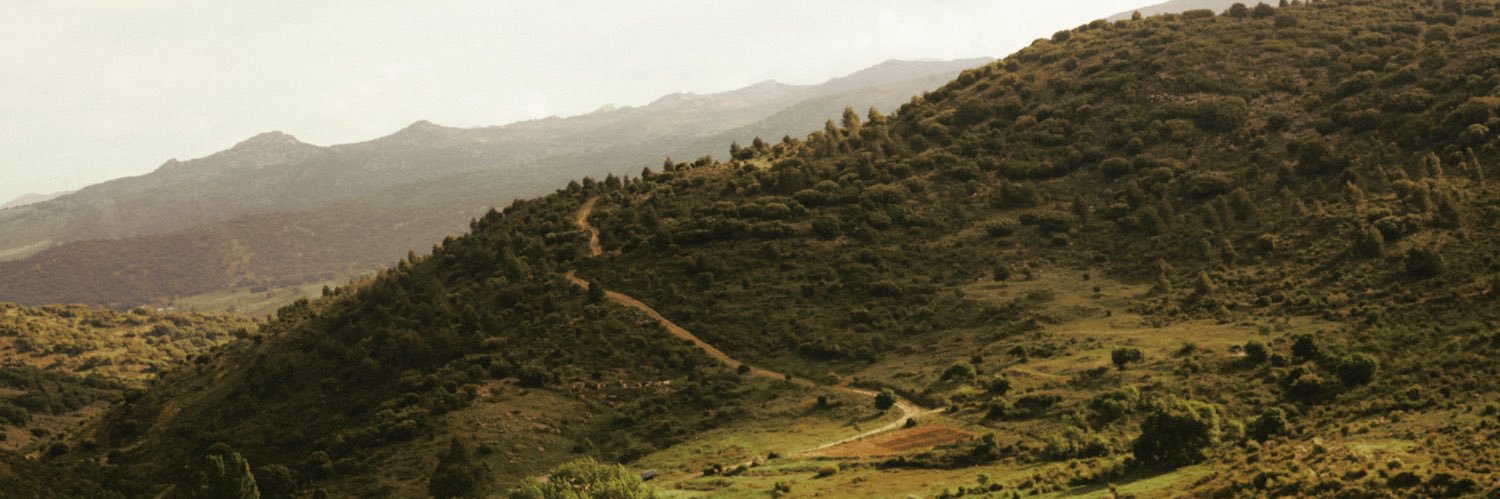 rgkuzma's profile banner image