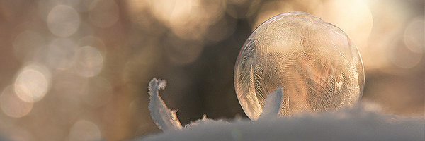 90_north Profile Banner