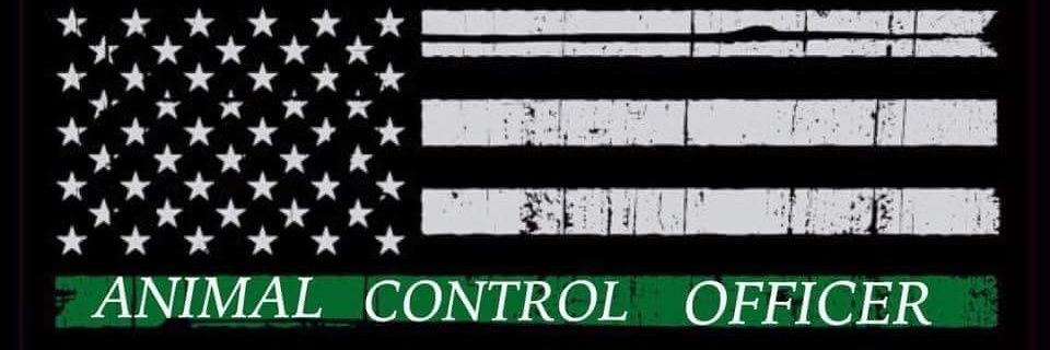 alanc36's profile banner image