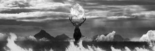 gaevkm's profile banner image