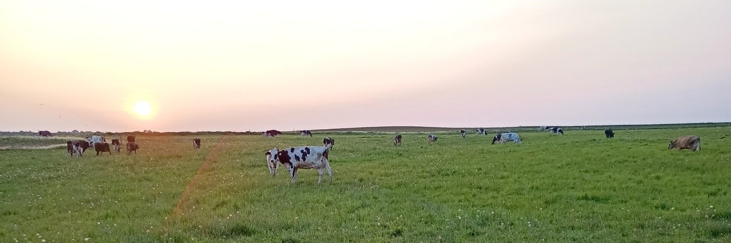 Sex door mat or sexual matador banner