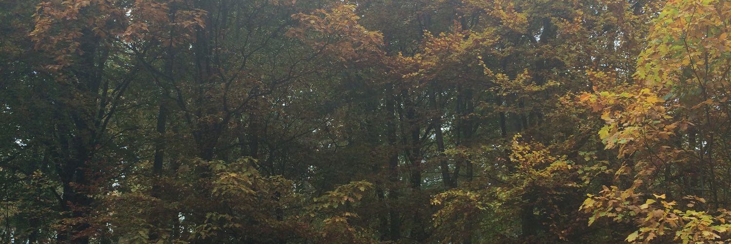 Laceymenacey's profile banner image