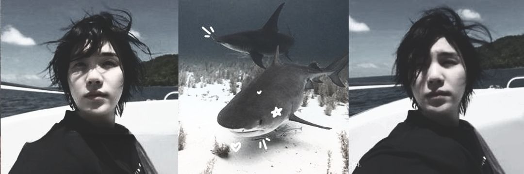 piso devaga love BTS ! ⦿ ☰ ☲ banner