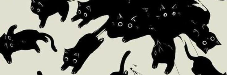 |✦| hai louie's banner