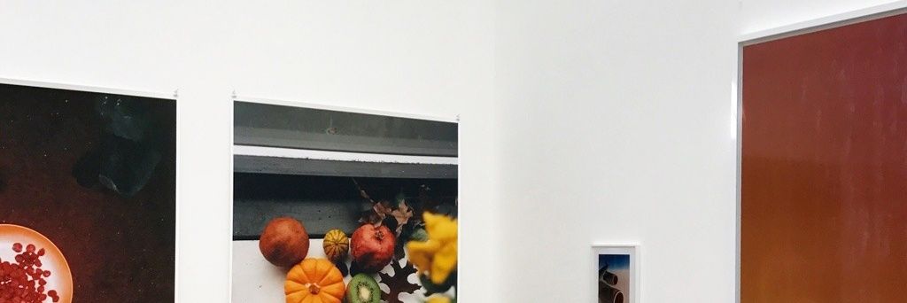 ryanpineds's profile banner image