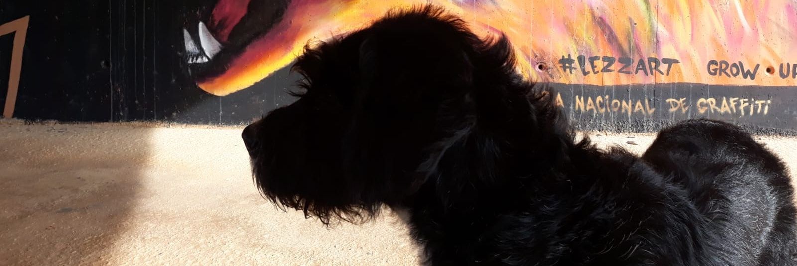 pausgrs's profile banner image