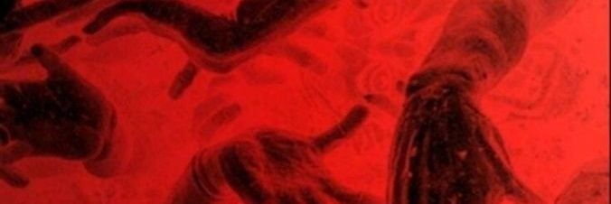 SquidsBen's profile banner image