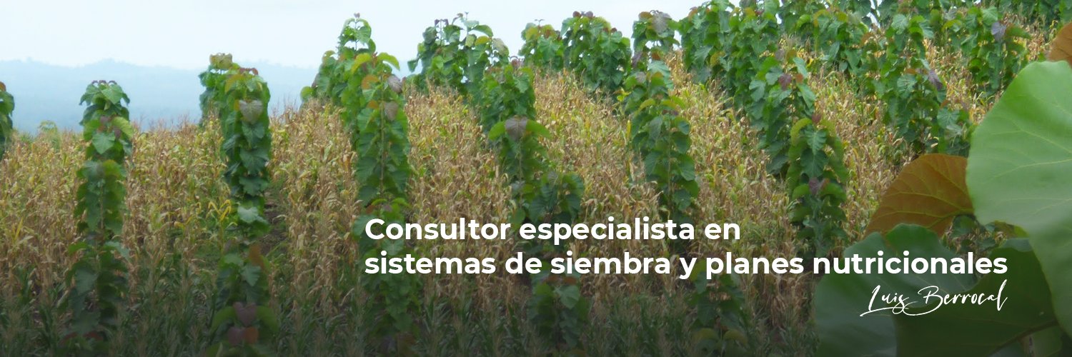 lgberrocal's profile banner image