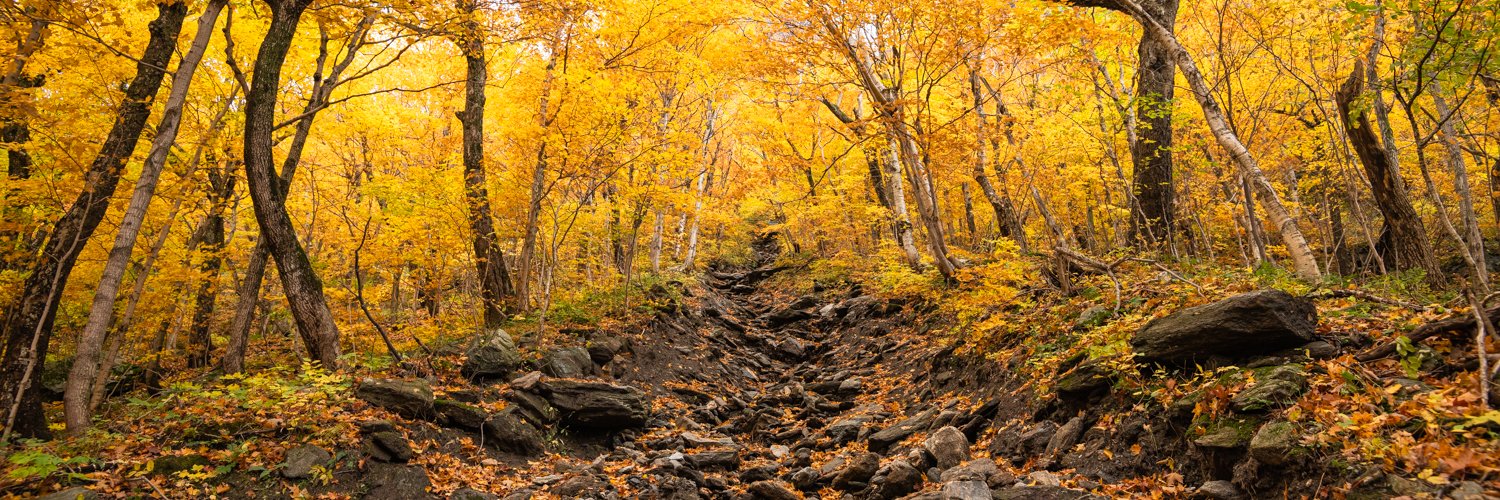 vermontfpr's profile banner image