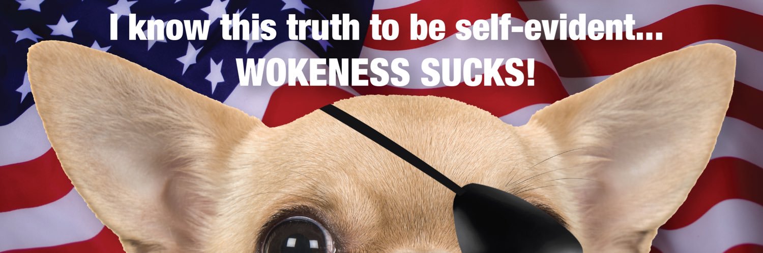 ChihuahuaStrong's profile banner image