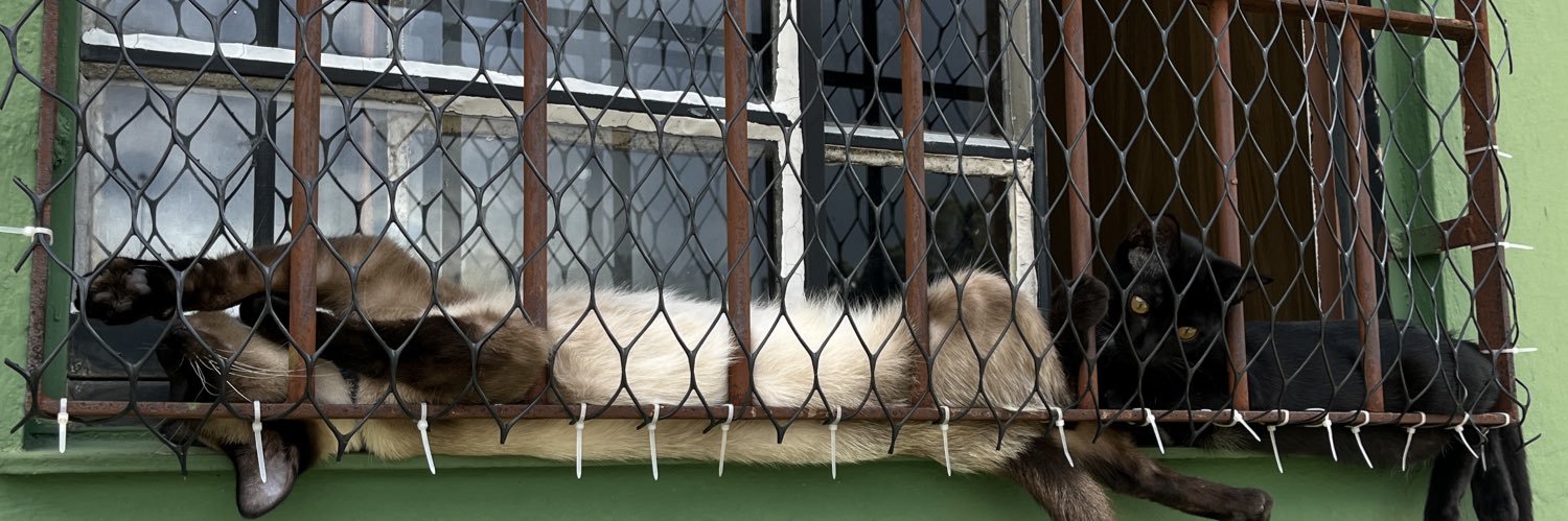 luconhas pai de gato‼️ banner