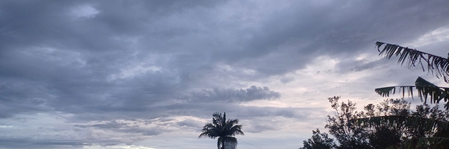 Alice D'vangele 🏳️‍⚧️ banner