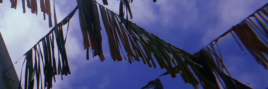 imnotboredfo_'s profile banner image