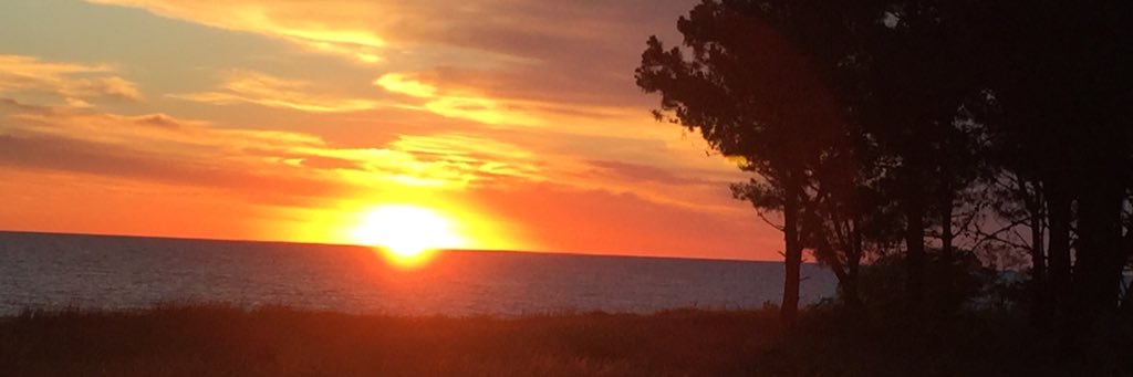 gabidonag's profile banner image