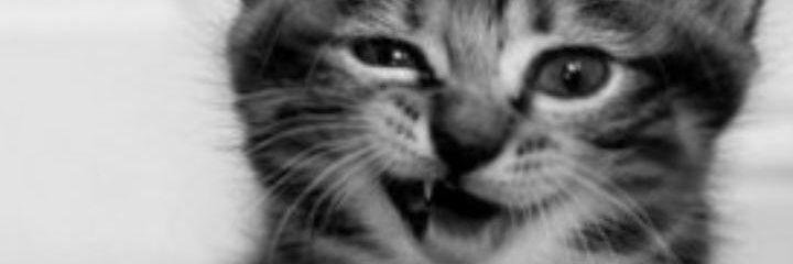 johanamgv's profile banner image