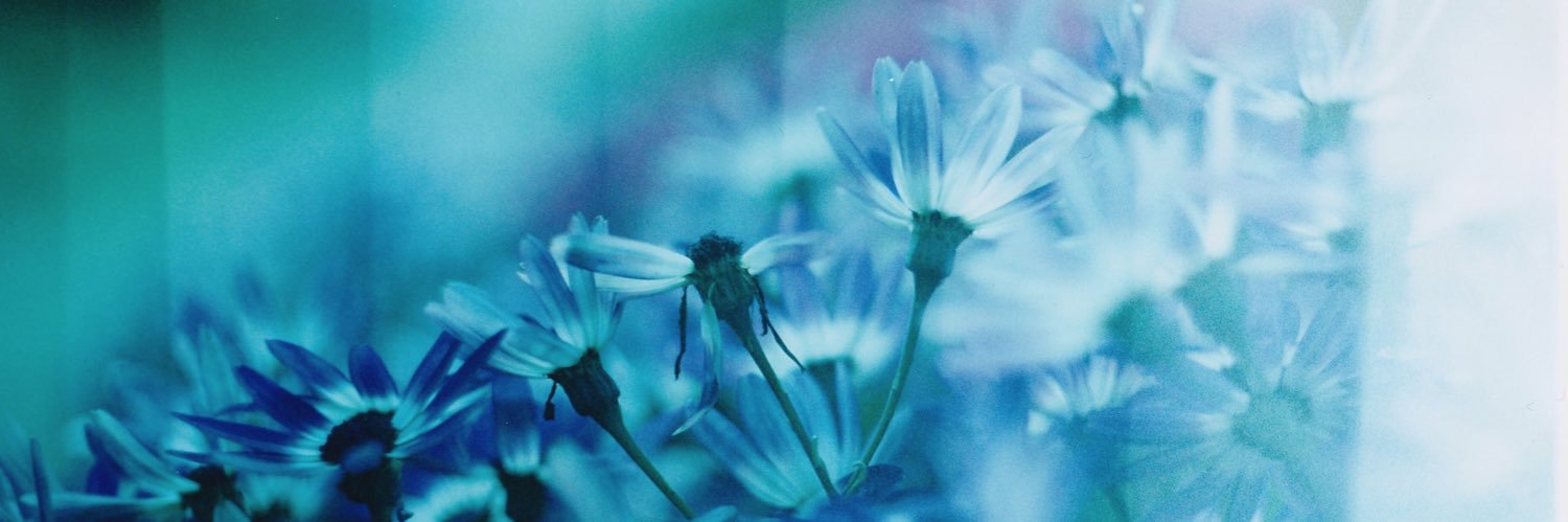 Chichic (ℂ𝕙𝕚 ) banner