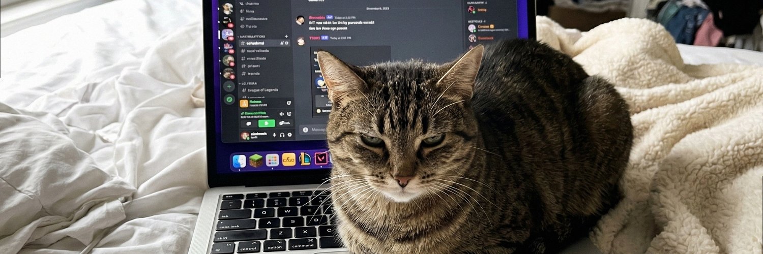 sofgrey_u47's profile banner image