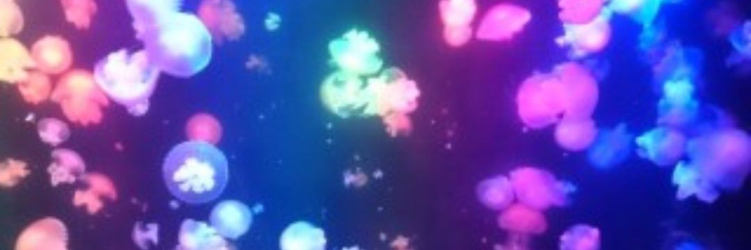 mimimichimare's profile banner image