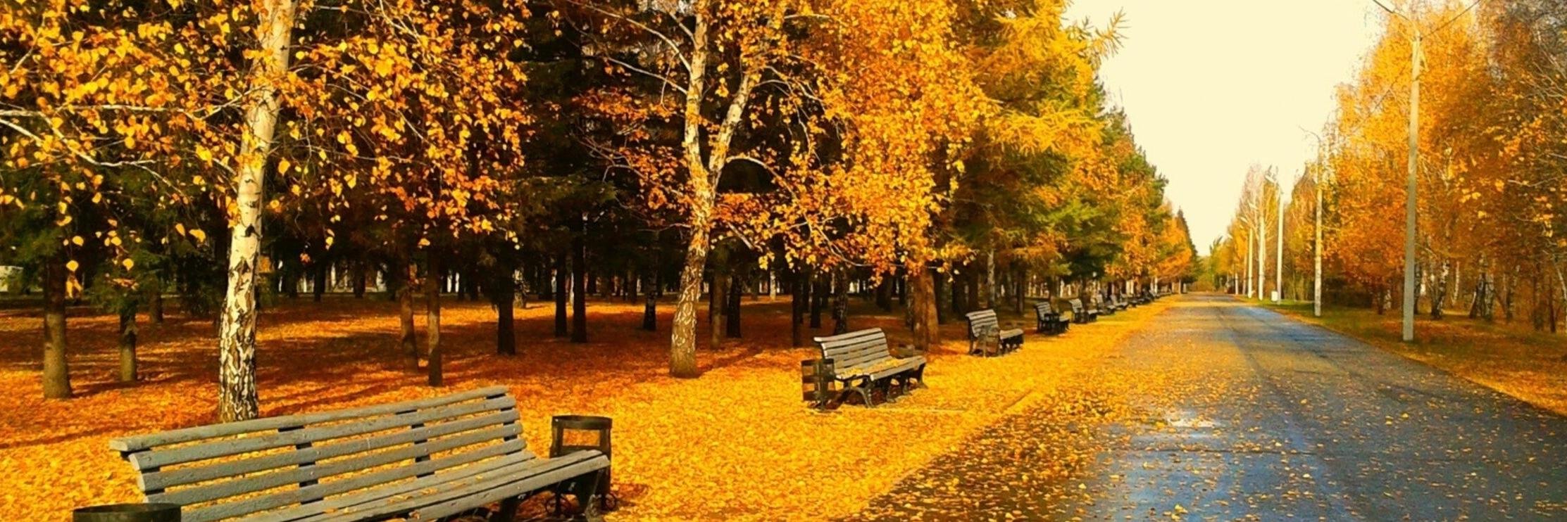 Jorge Molina Larrondo banner