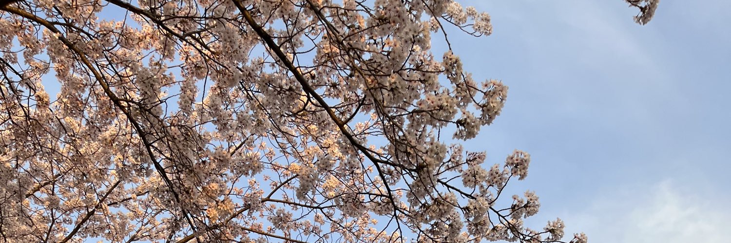 ppcfpa's profile banner image