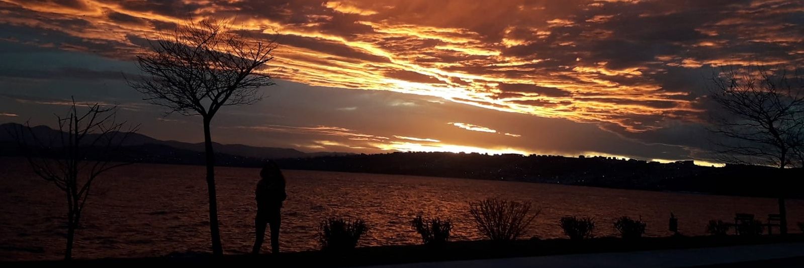 senolercan's profile banner image