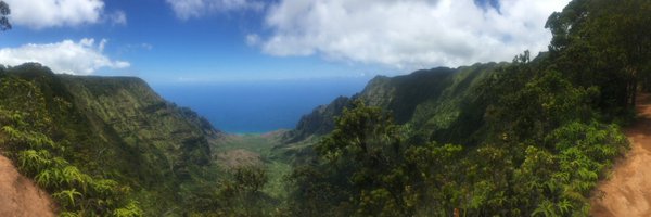 scocre Profile Banner