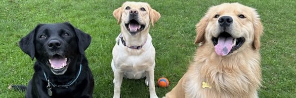 Benjamin Pinsky banner