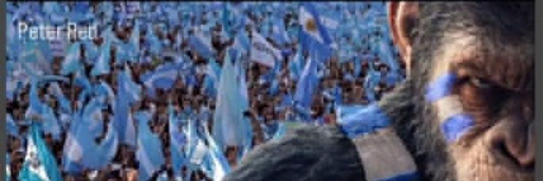 Alejandrun banner
