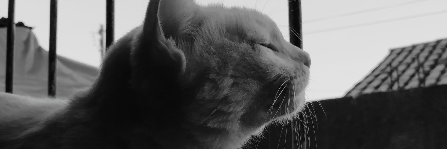 wrong_btch's profile banner image