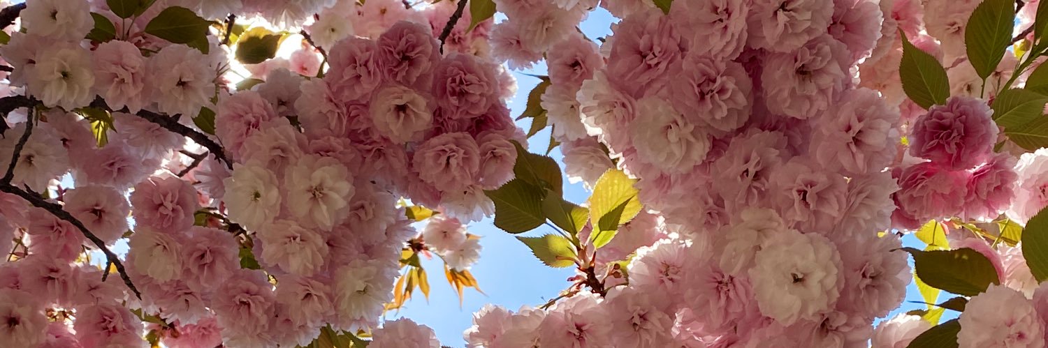 Peemmbee's profile banner image