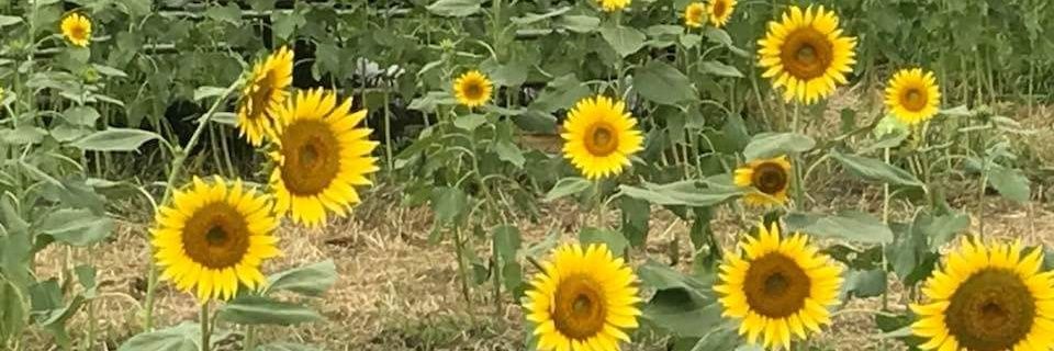u_minn34's profile banner image