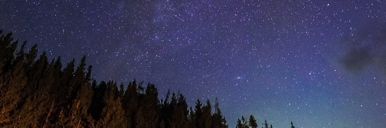gustavopreck's profile banner image