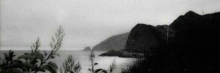 𝑺𝒋𝒂𝒎 𝑵𝒂𝒔𝒉𝒊𝒇. banner