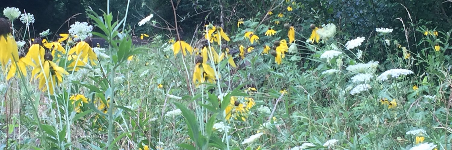 Bridget Herrman banner