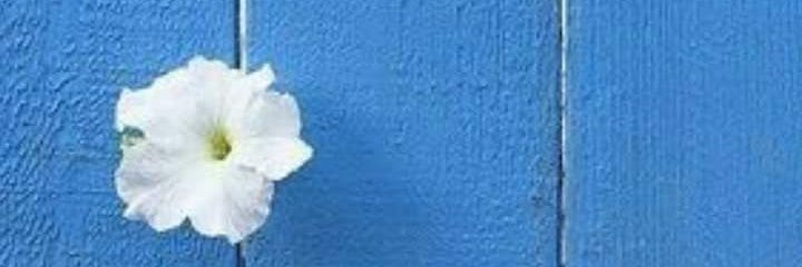 NotiWorld6's profile banner image