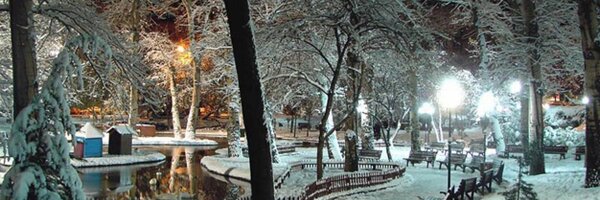 gulumsebirkere Profile Banner