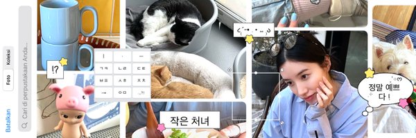 zzuxin Profile Banner